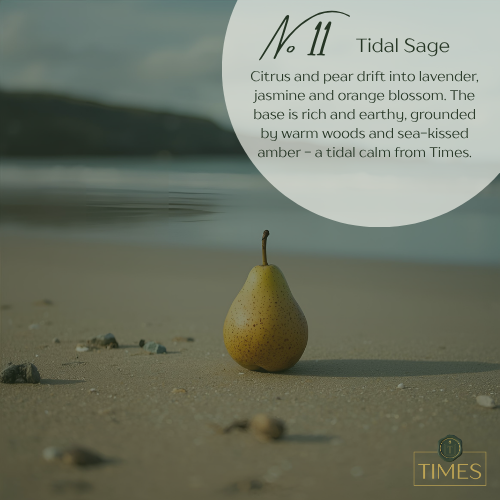 No 11 Tidal Sage - Alternate View